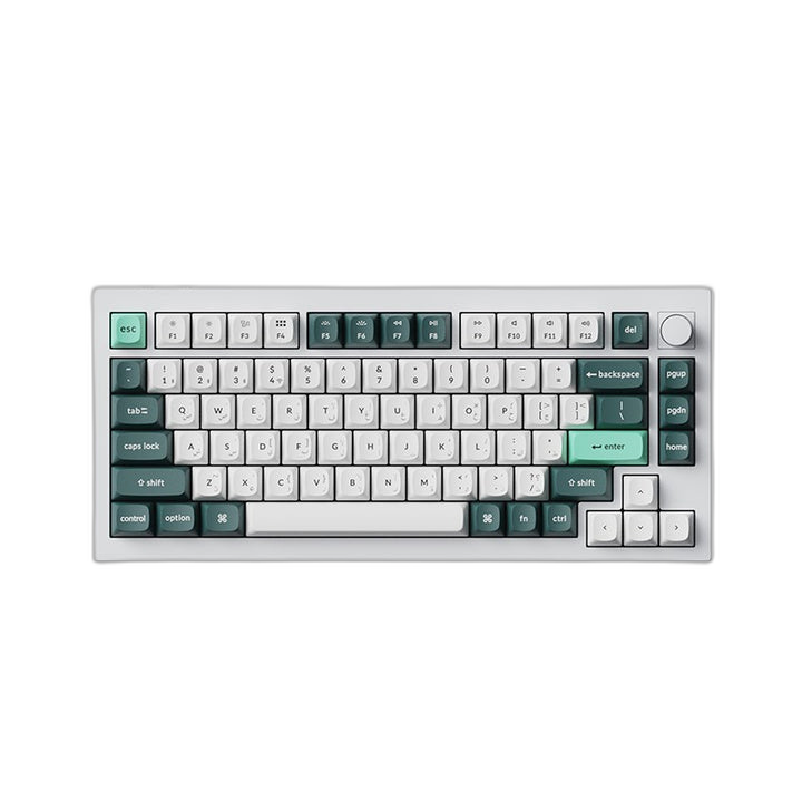 Keychron Q1 HE 75% RGB Backlight Wireless Keyboard, Nebula Switch