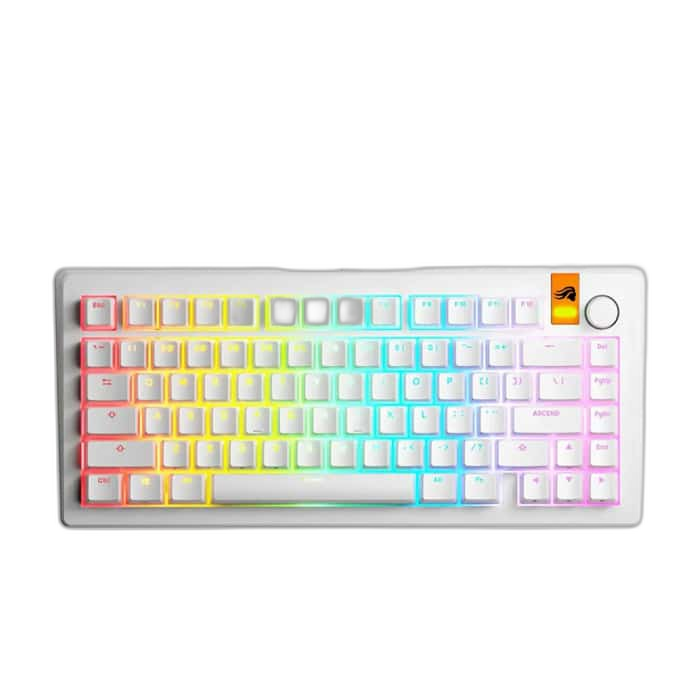 Glorious GMMK 3 HE 75% Mechanical Keyboard, Fox HE Switches