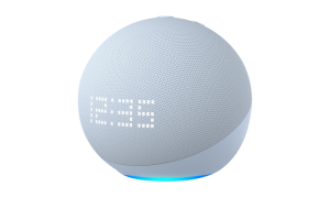 Smart Speakers